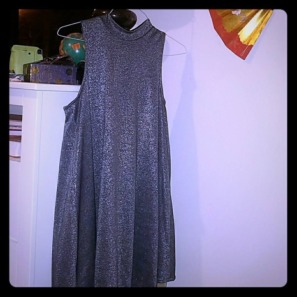 Silence + Noise Charcoal Sparkle Swing Dress